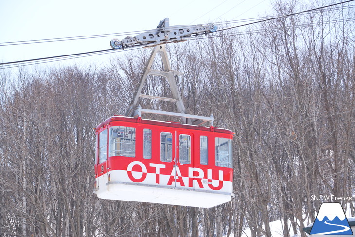 小樽天狗山ロープウェイスキー場 積雪たっぷり！絶景春スキー☆